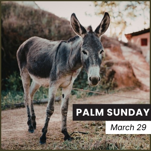 Palm Sunday Donkey